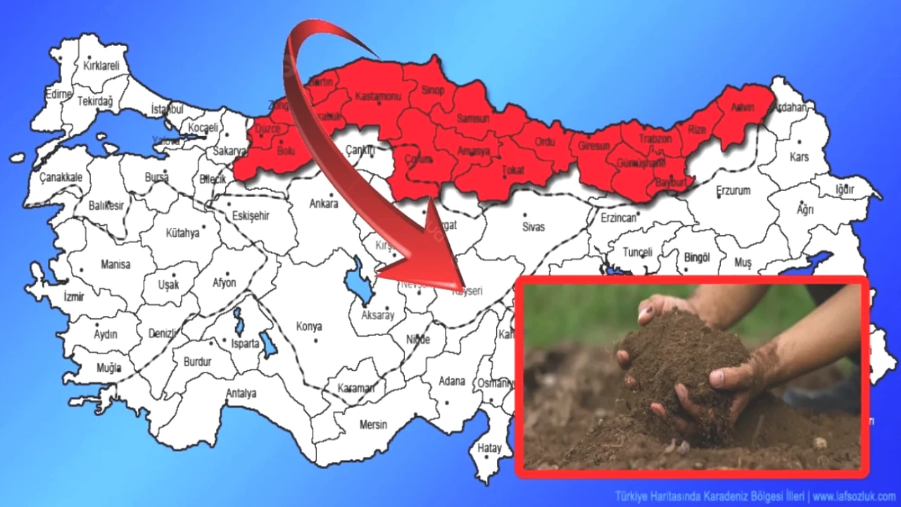 Karadeniz'de Korkutan Tehlike! Profesör, Kanser Riskini Açıkladı: Hangi İller Tehlikede?