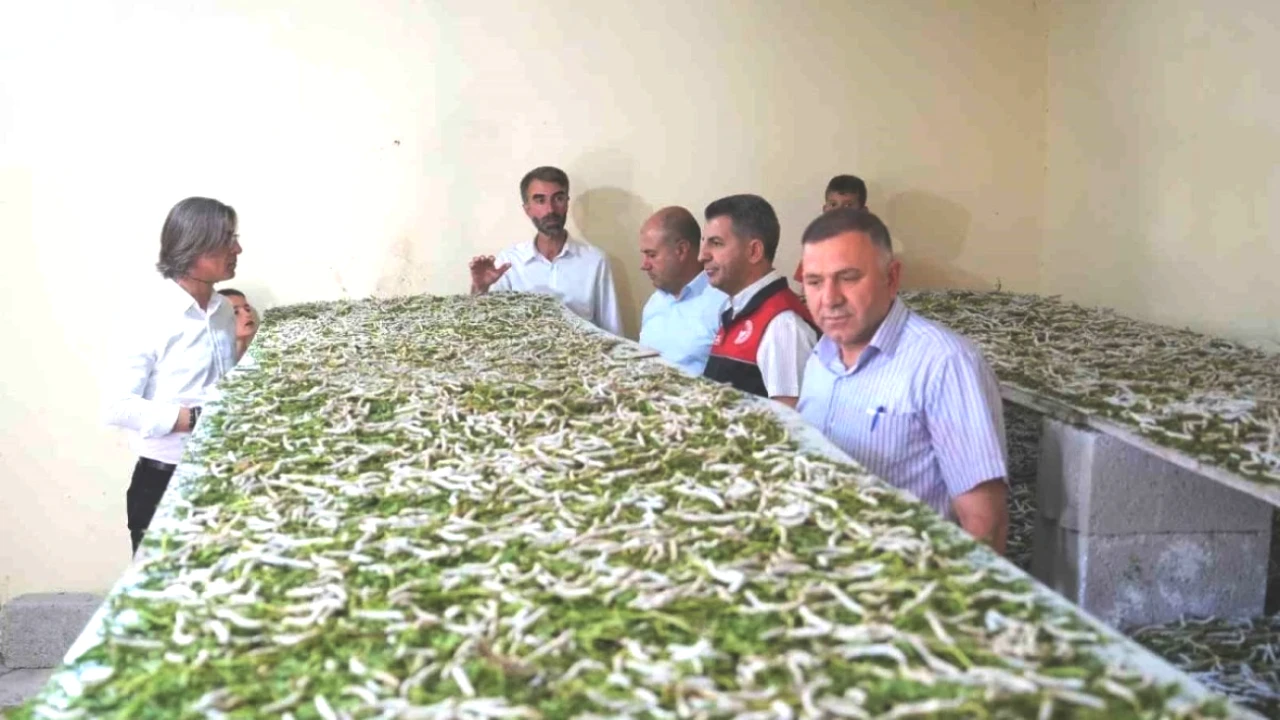 Başlarda Alaya Alındı, Şimdi Merakla Takip Ediliyor: Büyük Bir Gelir Fırsatı!