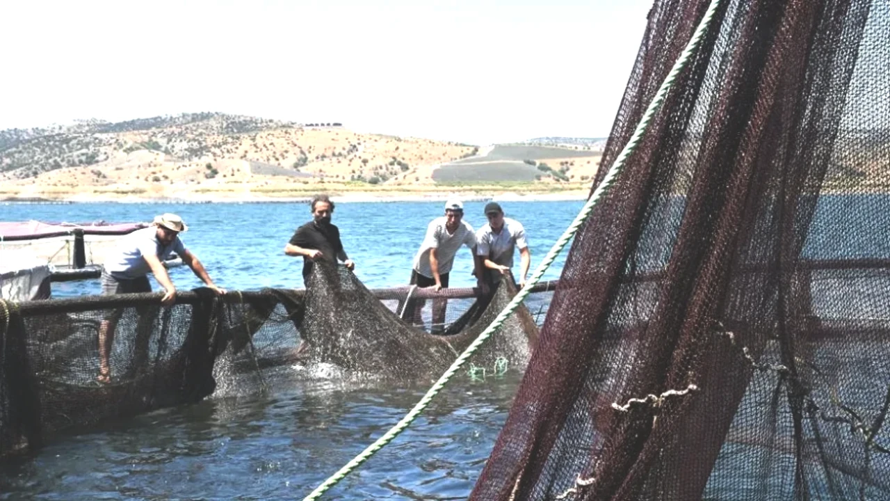 Denizi Olmayan Yozgat'tan Avrupa'ya Balık İhracatı! Yıllık 225 Ton Rekor Üretim