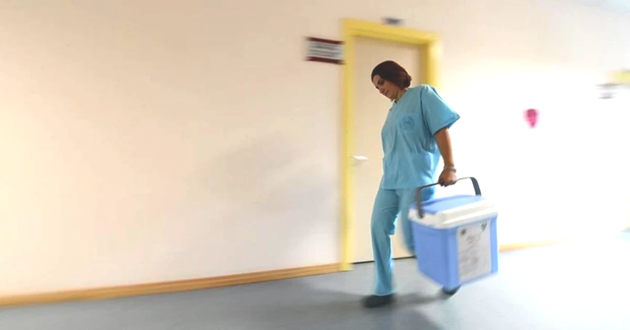 e-Devlet'te Organ Bağışı Dönemi Başladı! Organ Bağışlama Adımları Burada